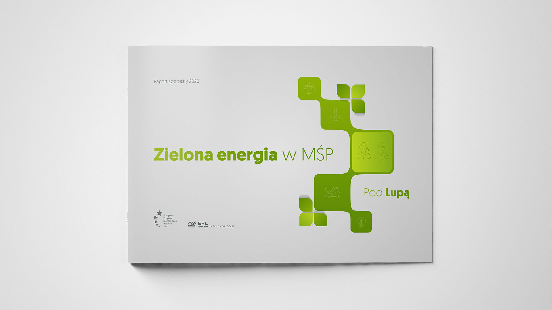 Zielona Energia w MŚP